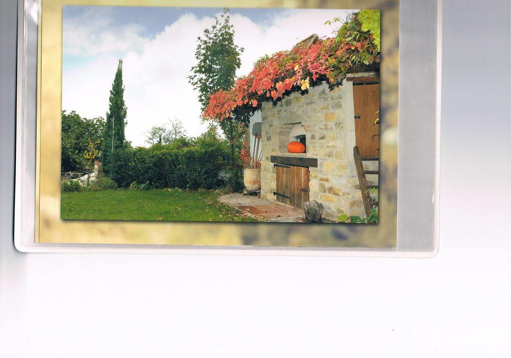 B&B San Nicola Serramazzoni Kültér fotó