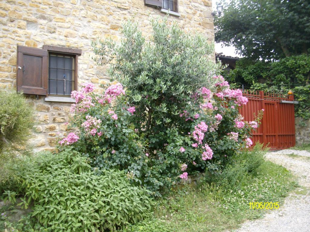 B&B San Nicola Serramazzoni Kültér fotó