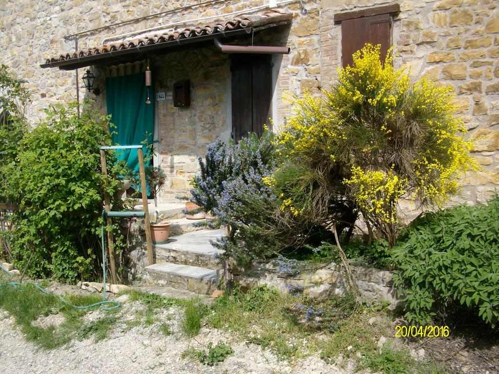 B&B San Nicola Serramazzoni Kültér fotó